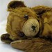 Sad Old Bear
