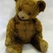 Sad Old Bear
