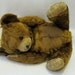 Sad Old Bear