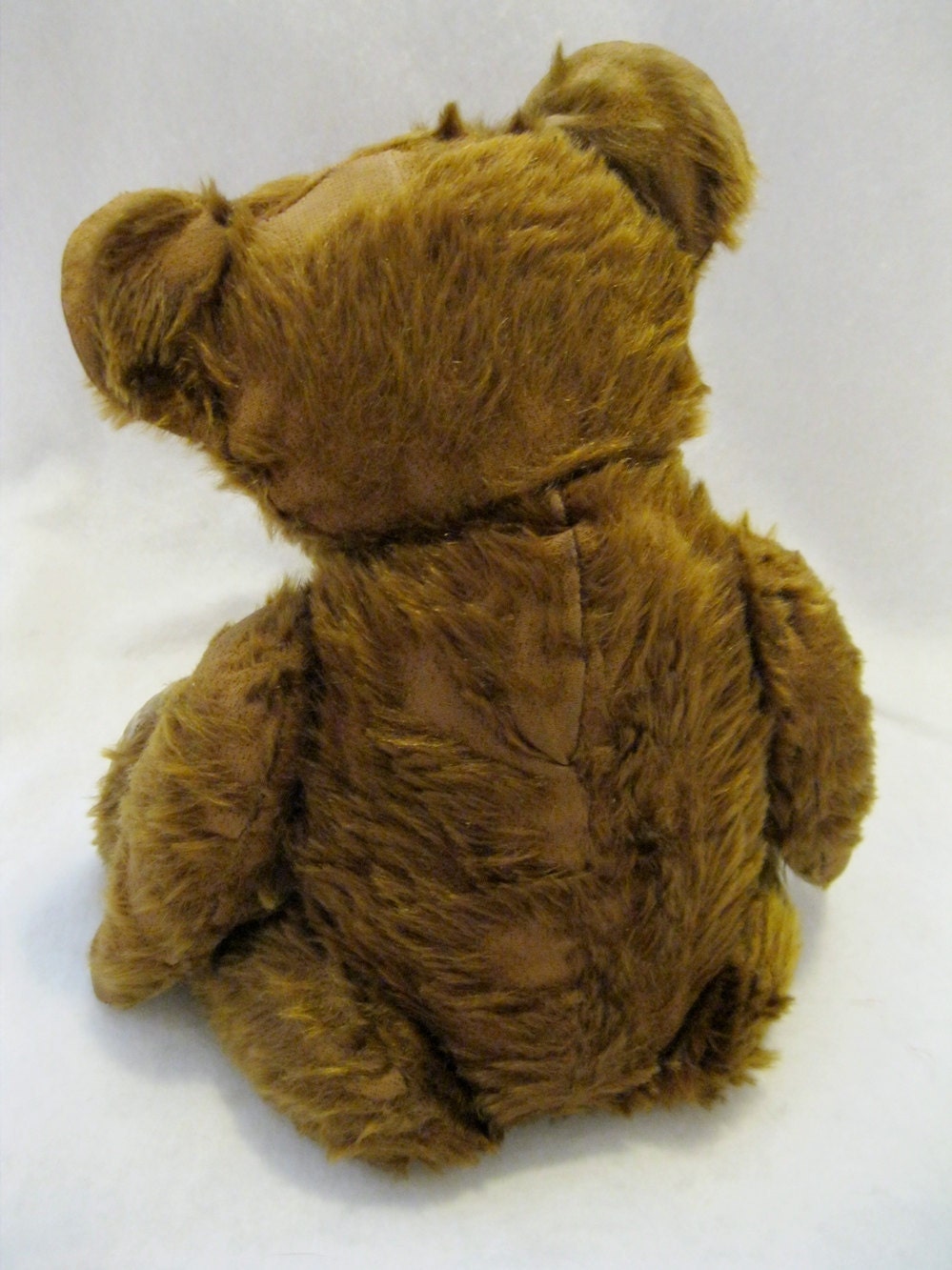 Sad Old Bear
