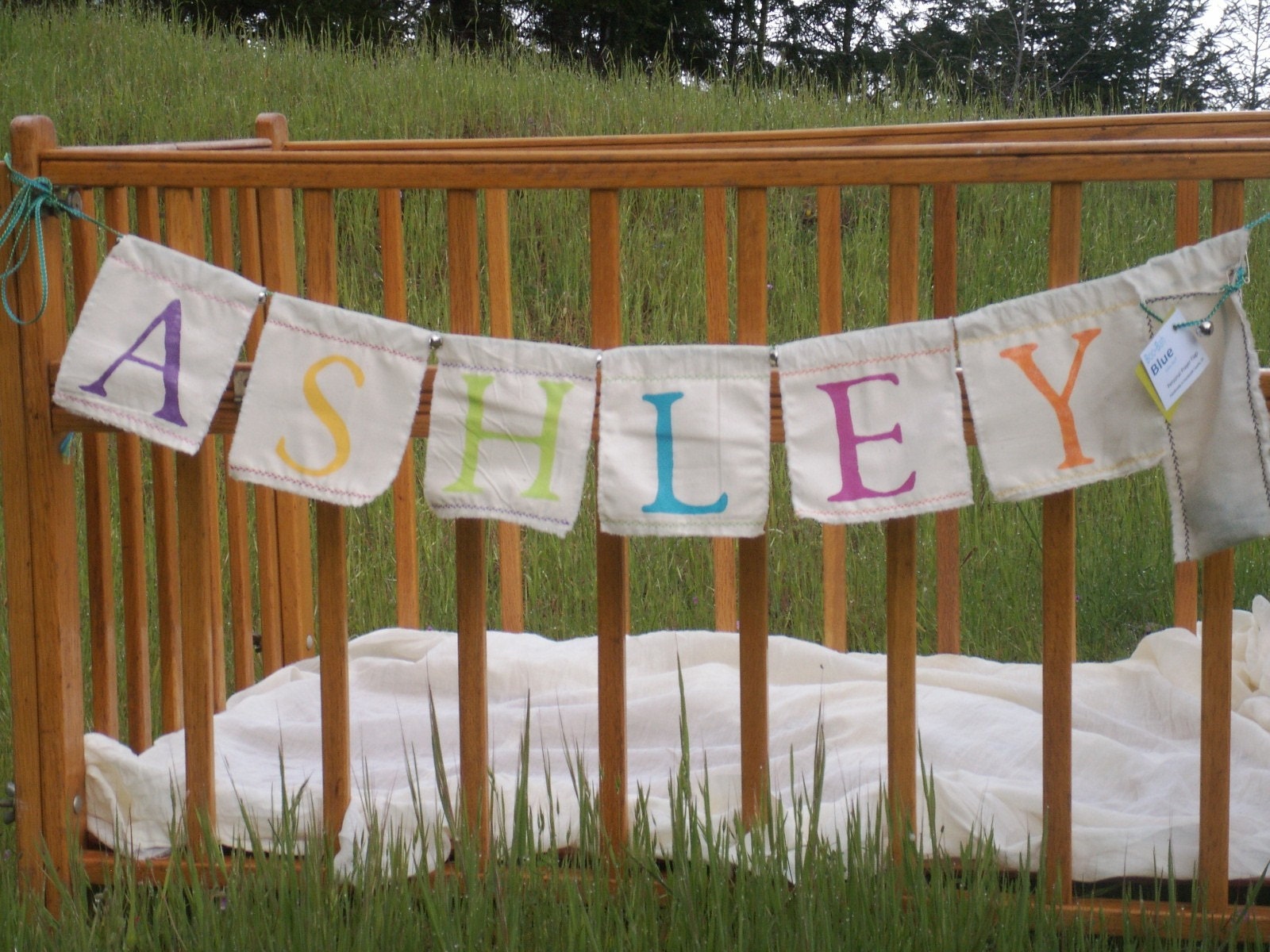 Personalized Banner - customize your own handpainted garland with any name
