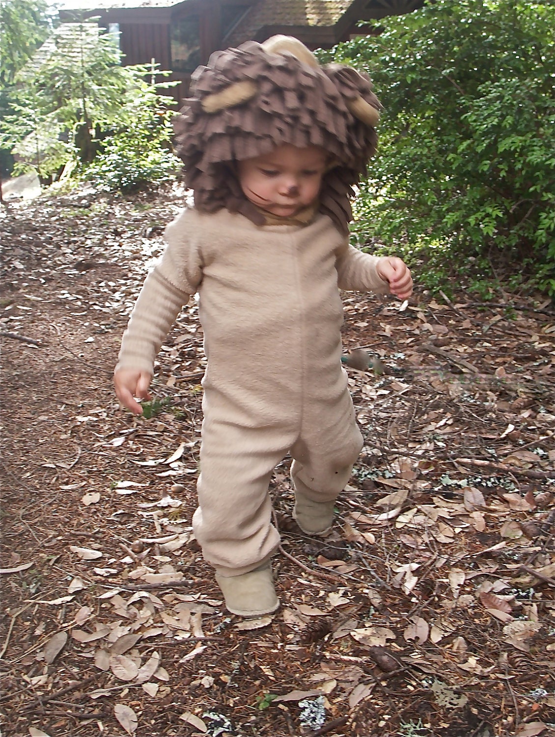 Lion Halloween Costume for Kids, Boys or Girls, Toddler, Children, Unisex