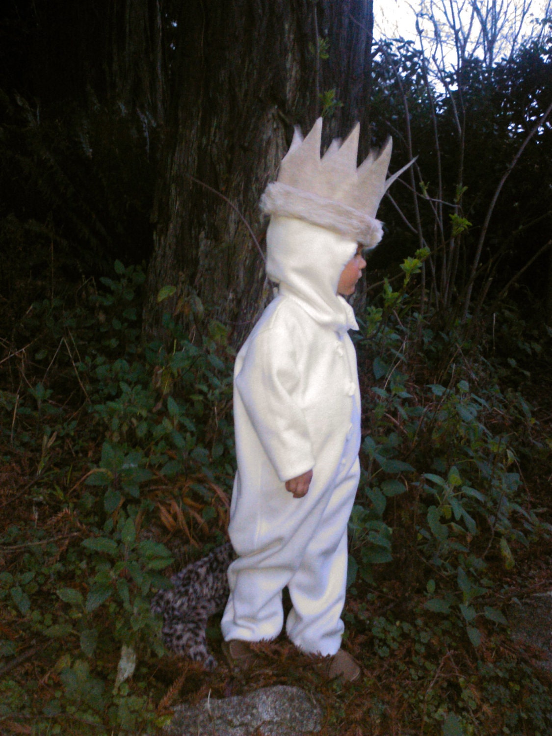 Wild Things MAX Halloween Costume for Kids, Boys, child, toddler