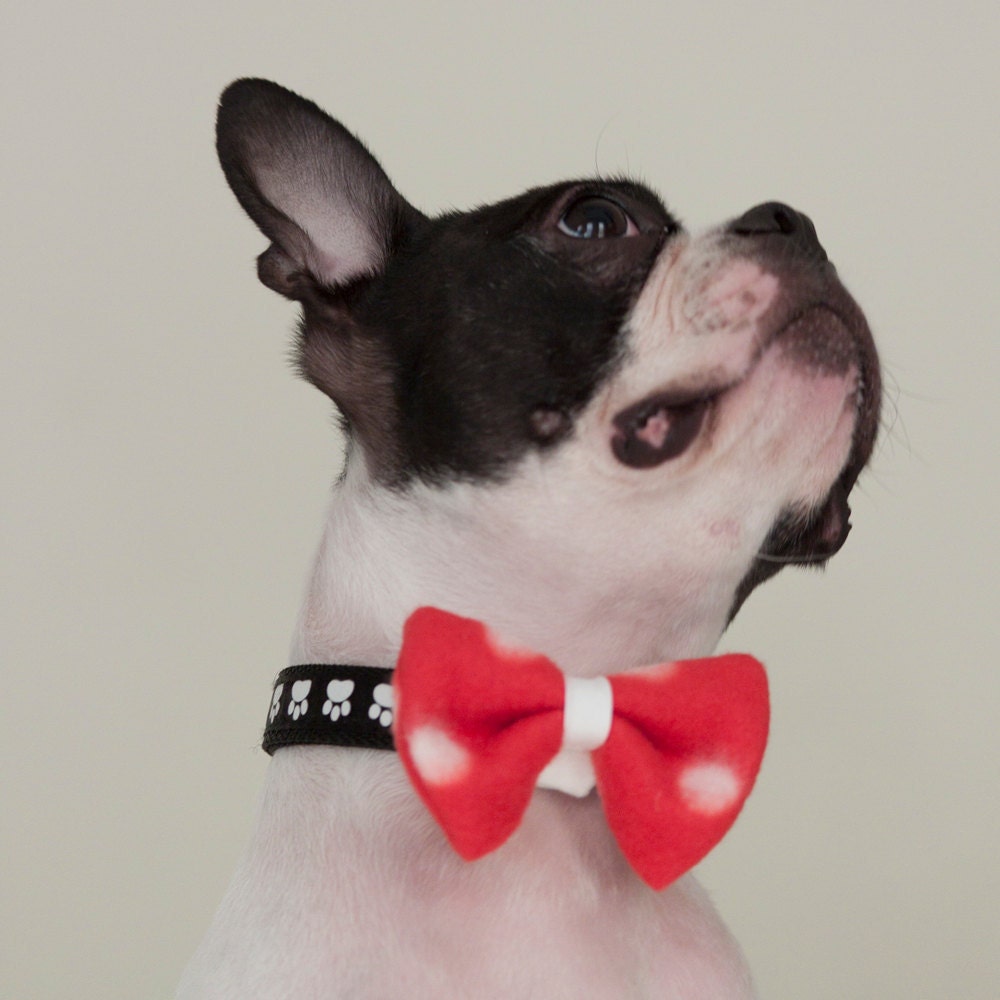 Dog Bow Tie Red & White Polka Dot - Free Shipping World Wide