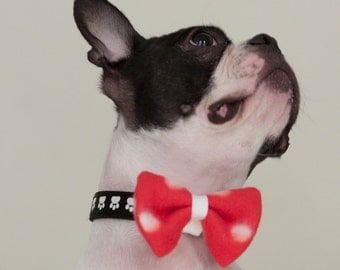 Dog Bow Tie Red & White Polka Dot - Free Shipping World Wide