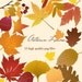CLIP ART - Autumn leaves - for commercial and personal use