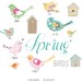 CLIP ART  - Spring Birds - for commercial and personal use