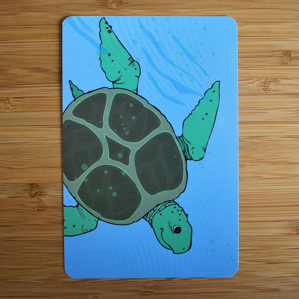 Sea Turtle Postcard