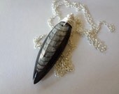 Orthoceras Fossil necklace