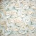 Giraffe Minky Baby Blanket-Monogramming now available