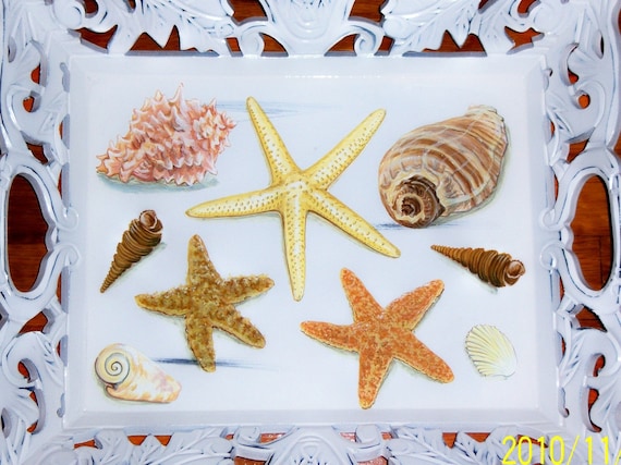 Ornate sea shell wood tray