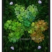 Art Print - Shamrock -  Colors of Ireland 11.7x16.5 by John Emanuel Shannon