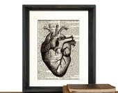 Heart Medical Anatomy Print Vintage Medical Book Page - Beautifully Matted Graduation Fathers Day Gift Present Home Office Decor