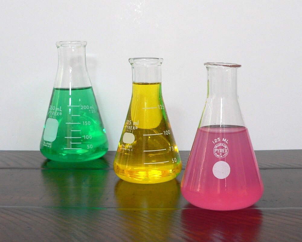 erlenmeyer flask vase