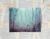 8x10 Morning Light Polaroid Print