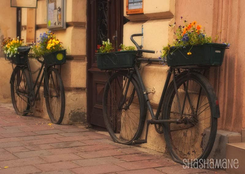 Romantic Bicycle