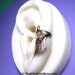 Rose leaf with thorn - Left ear cuff earring jewelry, gold brass earcuff  102512