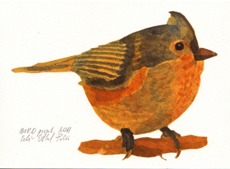 bird art print illustration drawing orange blue home decor
