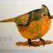 bird art print illustration drawing orange blue home decor