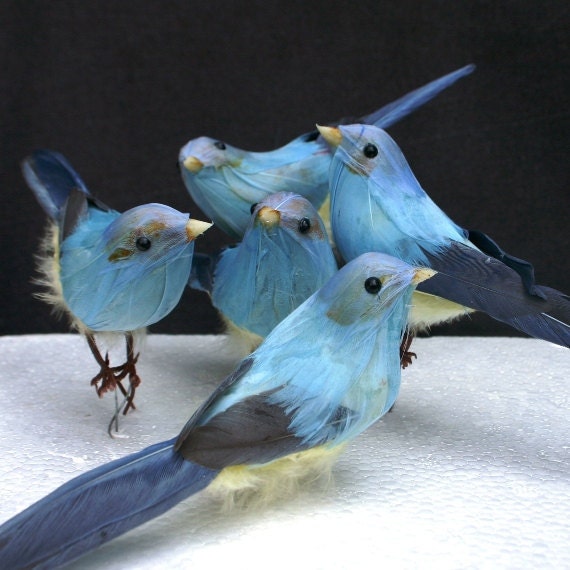 Little blue bird fly high