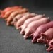 Little piggy instant collection