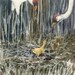 Matted Print 11 x 14 Whooping Cranes portrait bowman Raising Baby wildlife open edition