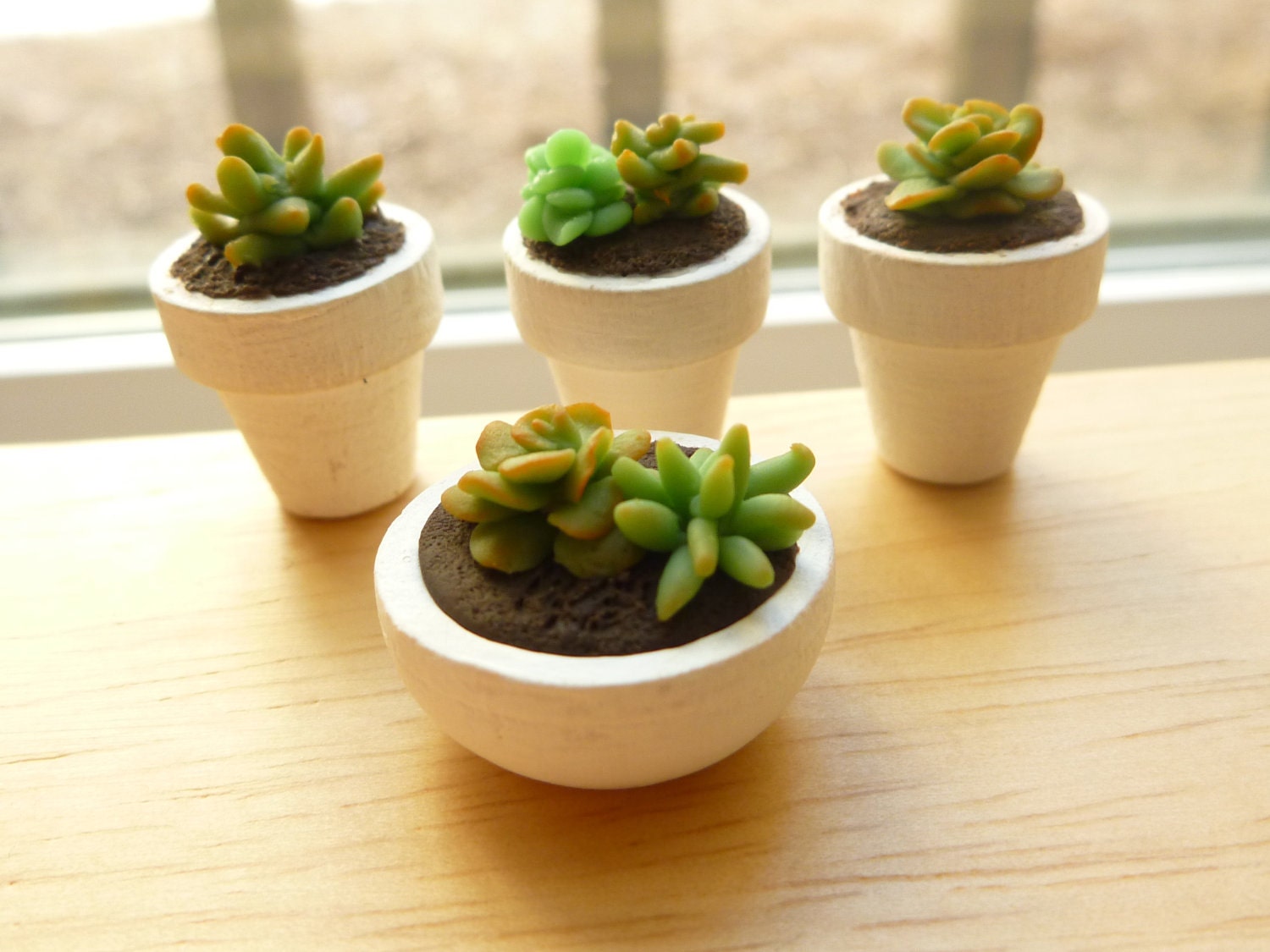 Miniature Dollhouse Succulent Plant in a Pot