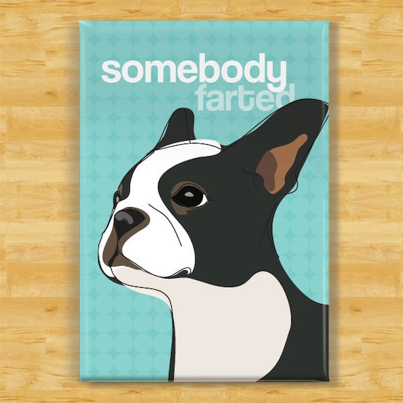 Boston Terrier Magnet - Somebody Farted - Dog Magnet
