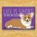 Corgi Magnet - Life is Short So Are My Legs - Red Pembroke Welsh Corgi Dog Magnet