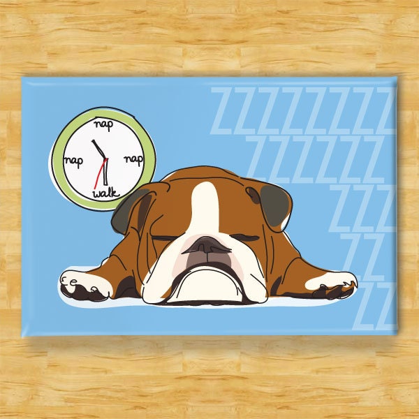 Bulldog Magnet - Nap - Brown and White Bulldog