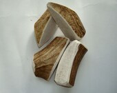 4 Elk Antler Dog Chews