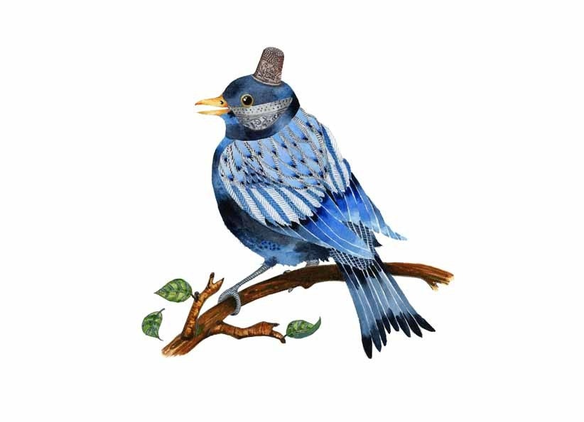 Bird Art Print, BlueBird with Silver Thimble Hat 8x11 illustration