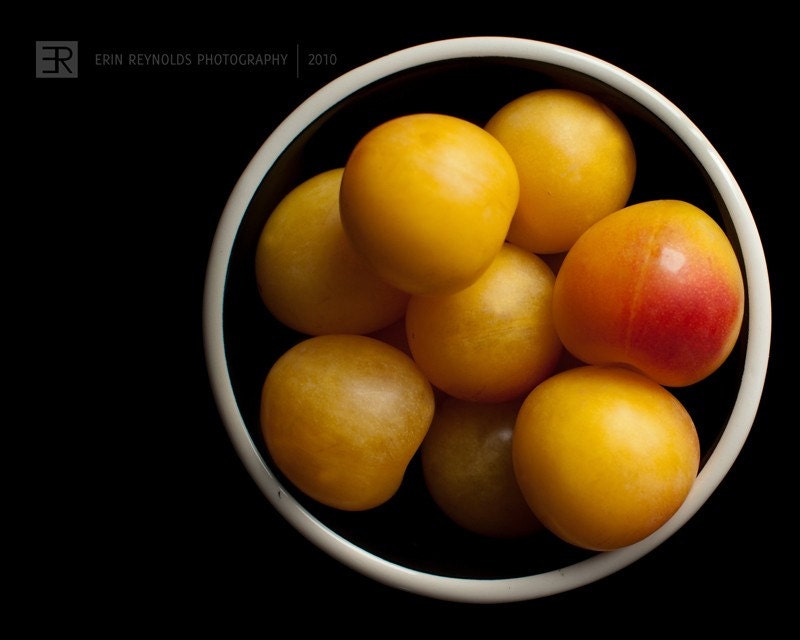 Golden Nuggets - Fine Art Photography Original Print (8x10) IN STOCK