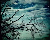 Night Sky - Fine Art Photography Original Print (8x10 Metallic Paper)