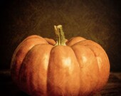 Pumpkin - Fine Art Photography (8x10)