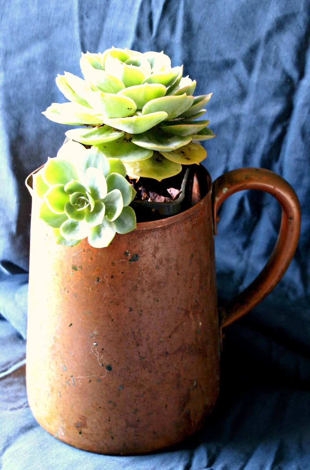 Copper Pitcher West Bend Moscow Mule