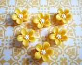Matte Yellow with Cream Center Resin Star Flower Flat Back 14mm Cabochons Qty 6