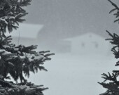 Blizzard on the prairie, 4x6 print