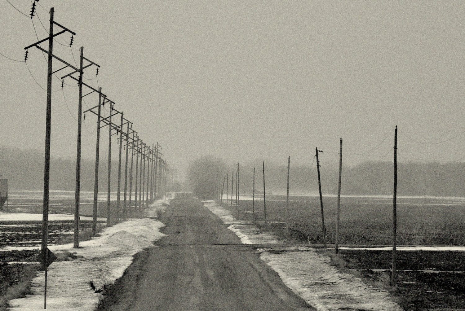 into the fog, 4x6 print