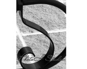 Number 5 - Architectural Alphabet 4 X 6 Black and White Print