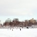 NYC Photography - Brooklyn Snow Storm - Fine Art Print - New York Print - 8x10