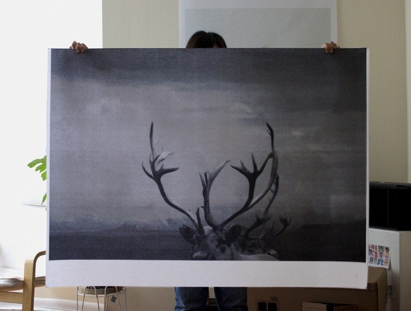 Antlers Poster