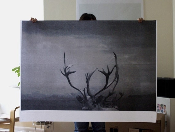 Antlers Poster