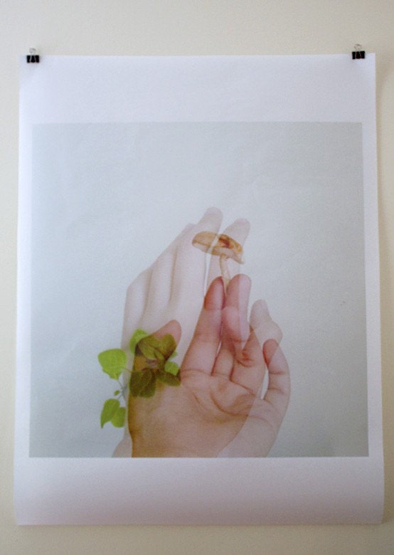 Sprout print (Shi-gano)