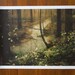 Forest Print (Human Nature) - Discounted 20x25 Artist Proof