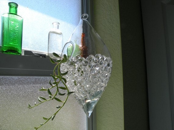 Hanging glass teardrop terrarium plant rooter with clear dew drops and string of banana cuttings.