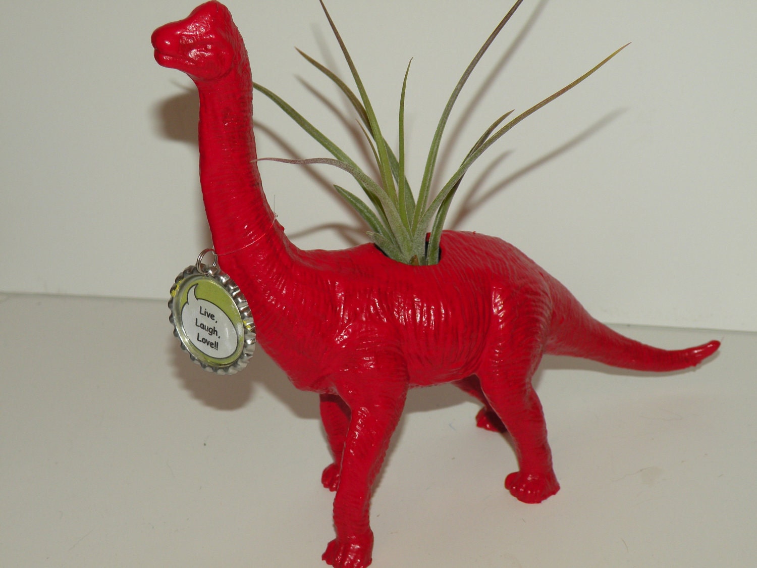 Red dinosaur planter. Bonnie the Brachiosaurus Dinosaur with air plant.