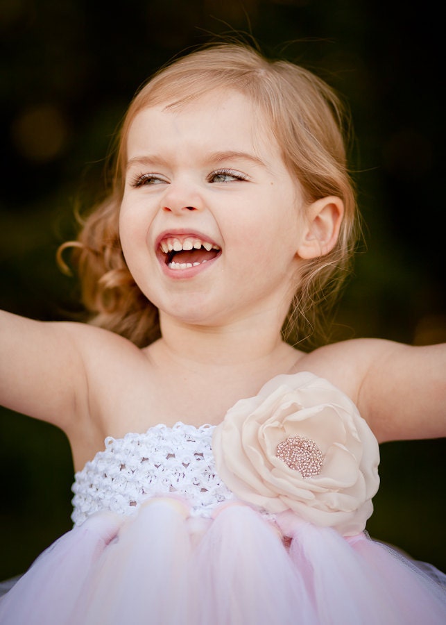 Vintage Daydream Flower Girl Tutu Dress with Handmade Rose