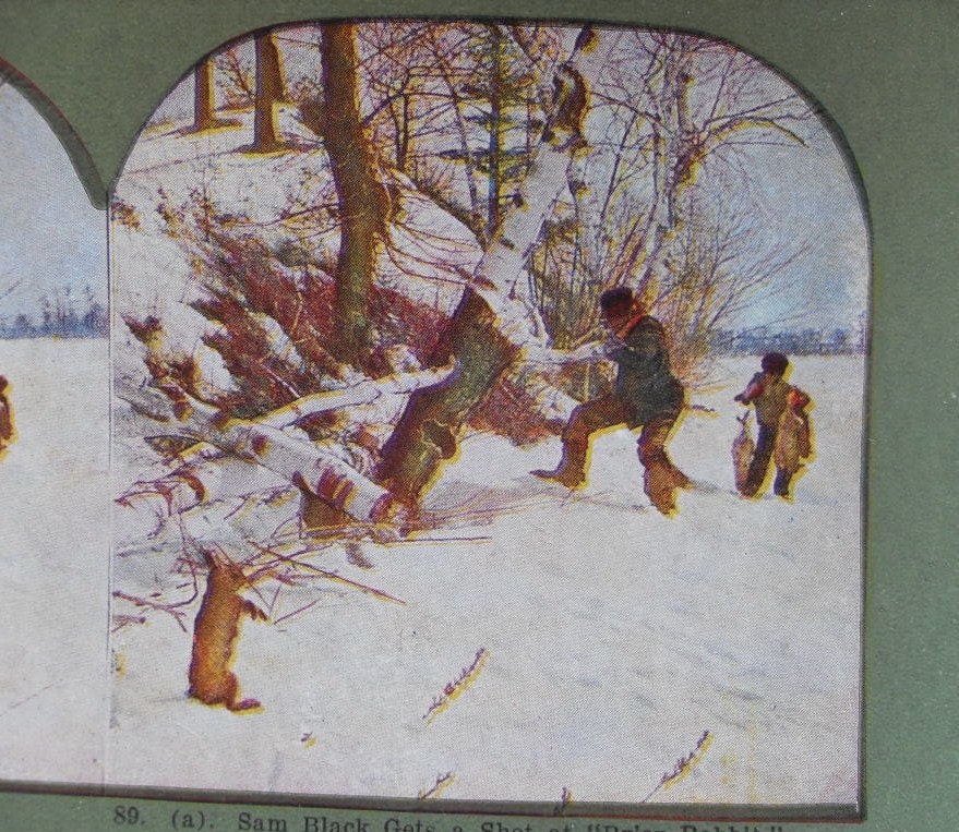 Pair of Stereoscopic Cards, Sam Black and Br'er Rabbit,