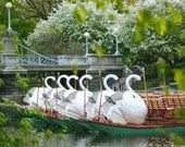 Boston Swan Boats, 16 x 20 Canvas Wrap, Boston Photography, Home Decor, New England Decor, Boston Decor